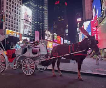 ΝΈΑ ΥΌΡΚΗ: Central Park: Βόλτα με άμαξα με άλογο στα χριστουγεννιάτικα φώτα