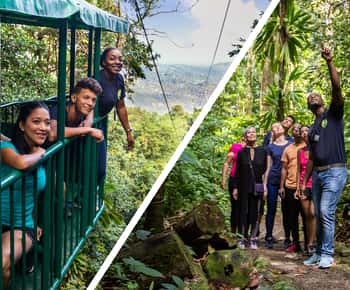 Saint Lucia: Aerial Tram Tour at Rainforest Adventures