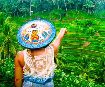 Ubud: Waterfall, Rice Terraces & Monkey Forest Tour