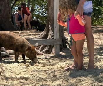 Eleuthera Adventure: Houpání, prasata a útesy