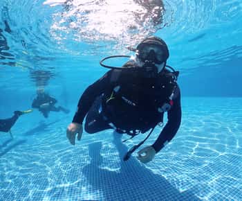 Madeira, Ponta São Lourenço: Tauchen für Anfänger