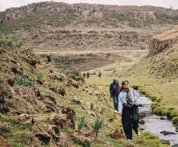 Bale Mountains: 3-Day Guided Trek with Wildlife and Camping