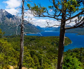 Bariiloche: Trekking guiado ao cerro Llao Llao