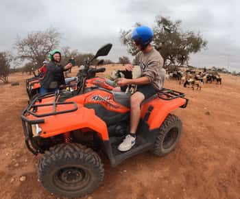 Agadir: Quad nel deserto di Agafay con le capre sull'albero