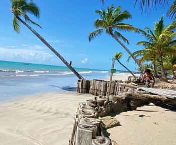 Maceió: Ipioca Beach Tour (Hibiscus Beach Club)