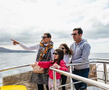 Los Cristianos: tour in eco-yacht con balene e nuotata