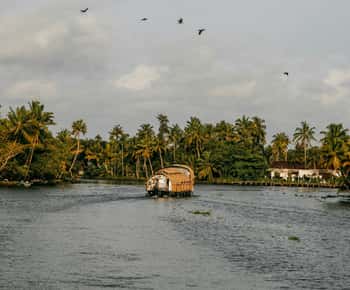 Kerala: Munnar, Thekkady, Alappuzha y Trivandrum, excursión de 5 días
