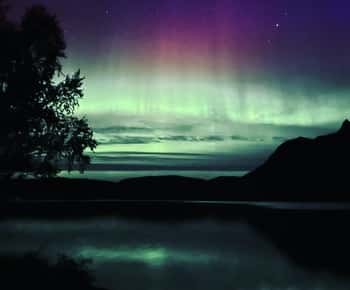 Harstad/Narvik: tour dell'aurora boreale con possibilità di secondo giorno