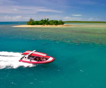 Port Douglas: Douglas Douglas: Low Isles Reef Snorkeling Tour