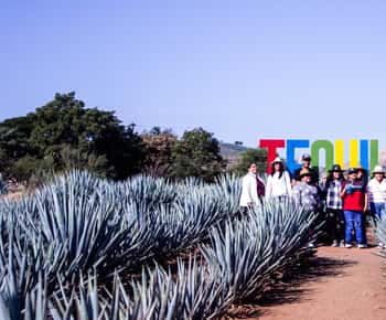 Tequila La Aguirreña fabriekstour met proeverij in Tequila, Jalisco