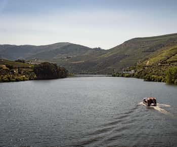 Do Pinhão: Passeio de Barco Rabelo no Vale do Douro com Vinho do Porto
