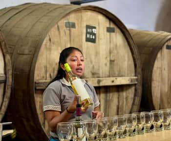 Cafayate: Excursão de dia inteiro pelas adegas e degustação de vinhos