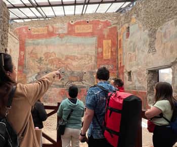 Neapol: Celodenní výlet do Pompejí a na Vesuv se vstupenkami a obědem