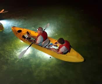 Spiaggia di Clearwater: Tour serale in kayak con fondo di vetro e LED