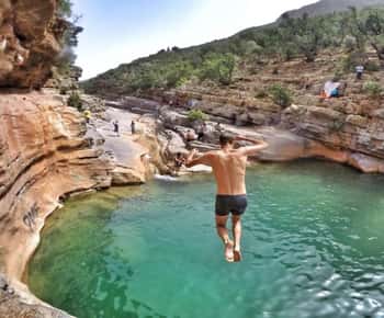 Agadir or Taghazout: Paradise Valley with Lunch & Transfers