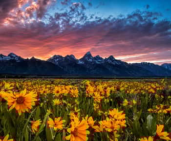 Grand Teton: Private Guided Tour (Sunset)