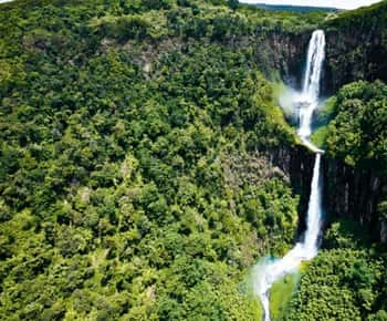 Mt. Kenya to Maasai Mara: An 8-Day Safari Adventure