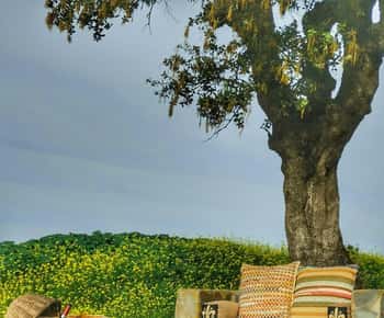 Mértola's Stunning Countryside Picnic