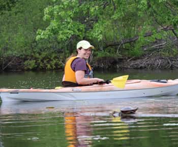 Ottawa: Ecological Reserve Kayak Tour with Turtle Sightings