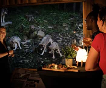 Montebello, QC: Parc Omega Wolves Experience with Cocktail & Guide