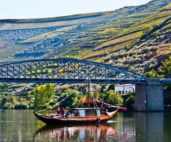 Do Porto: Viagem de 1 dia ao Vale do Douro