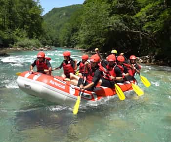 Tara Rafting - Ganztagestour