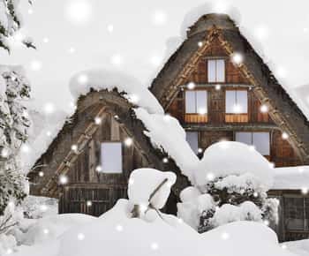 From Takayama: Shirakawago and Gokayama Bus Tour by Nohi Bus
