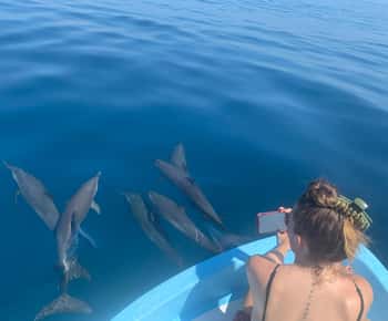 Puerto Escondido: tour en barco para ver delfines y vida marina