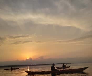 Guided kayaking on Roskilde Fjord: Sunset tour