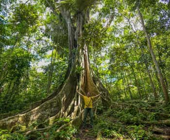 Vanuit Iquitos: dagtrip naar het Pacaya Samiria National Reserve