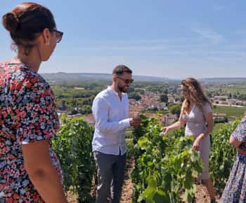 Desde Reims: Por la mañana, visita y degustación de champán