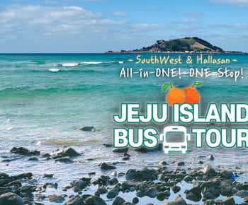 Jeju Island: Full-Day SouthWest Bus Tour with Entry Fees