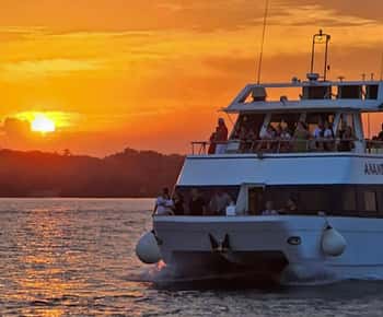 Pula : Croisière au coucher du soleil pour les dauphins à Brijuni avec dîner et boissons
