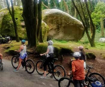 De Lisboa: Passeio de E-Bike por Sintra e Cascais