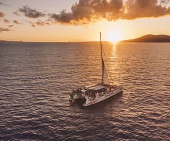 Lanzarote: Dolphin-Watching Sunset Cruise met Transfers