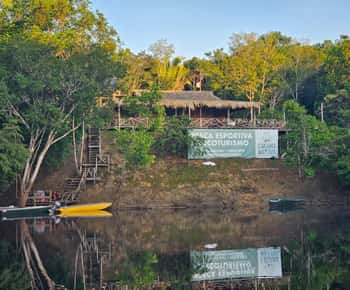 Manaus: 2, 3, or 4-Day Tour
