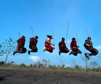 3 dias e 2 noites Amazing Masai Tour e Parque Nacional Mikumi