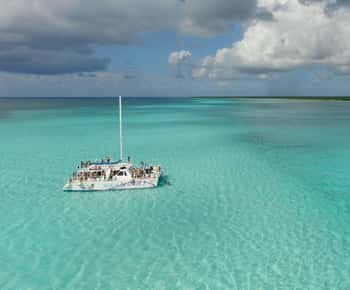 Cozumel: Catamaran Tour, El Cielo, Snorkeling, lunch & Ferry