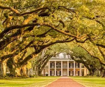Da New Orleans: Tour della piantagione di Oak Alley