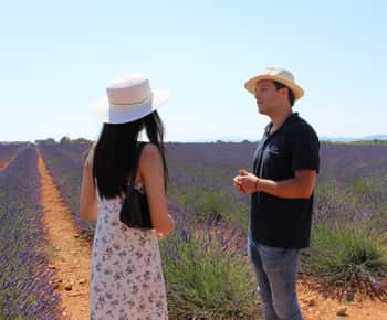 Von Marseille aus: Ganztagestour durch den Lavendel von Valensole