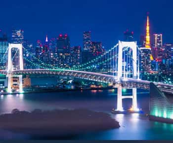 Tokyo Private Day Trip With English Speaking Driver