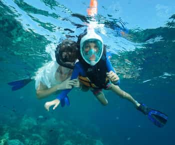 Koh Chang: viagem de snorkeling aos recifes ou naufrágios com almoço