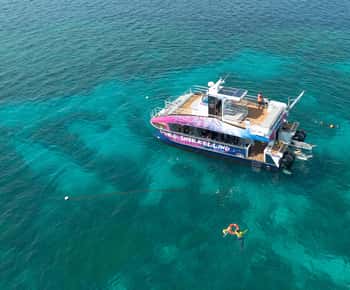 Cairns: All-Inclusive Great Barrier Reef Half-Day Snorkeling