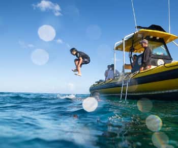 Oahu: North Shore Snorkeling Tour from Haleiwa