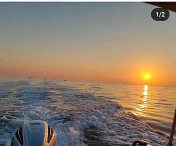 Tour privato di Brioni al tramonto e con i delfini in barca fino a 11 persone