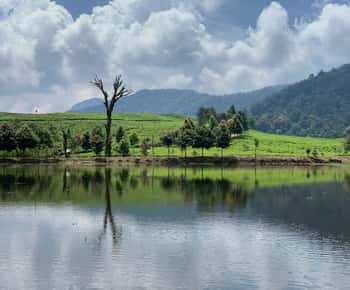 Bogor: Private Car Charter with Professional Driver