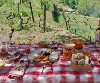 Vale do Douro: Experiência vínica na Quinta do Tedo com piquenique