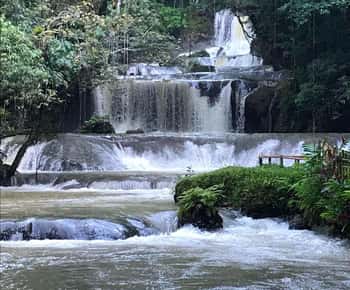 Jamaica: Full-Day YS Falls and Black River Safari Tour