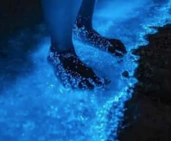 Holbox: Bioluminescentie kajaktocht met gids