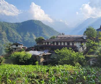 Trekking al campamento base del Annapurna: tour guiado de 12 días
